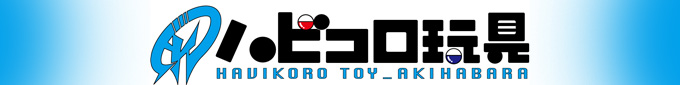 store_akihabaraten